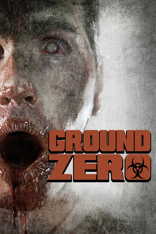 Movie poster for Ground Zero (2010)