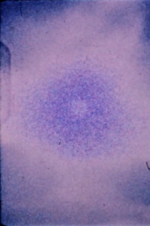 Movie poster for Fetish Frames #1 (2013)