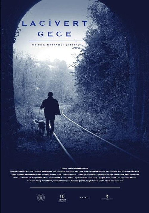 Movie poster for Dark Blue Night (2021)