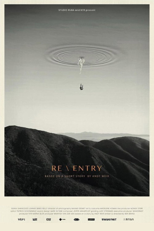Movie poster for Re \ Entry (2019)