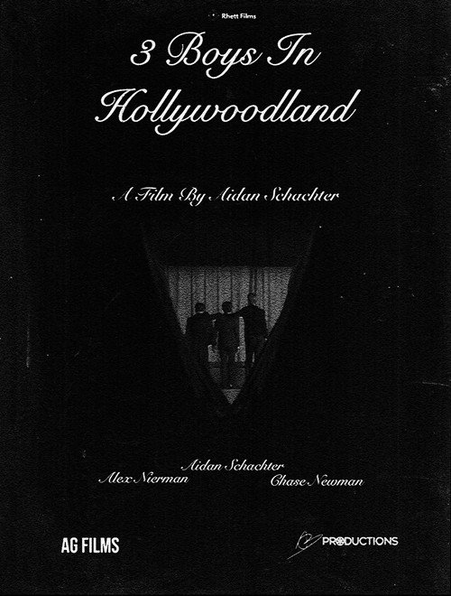 Movie poster for 3 Boys In Hollywoodland (2024)