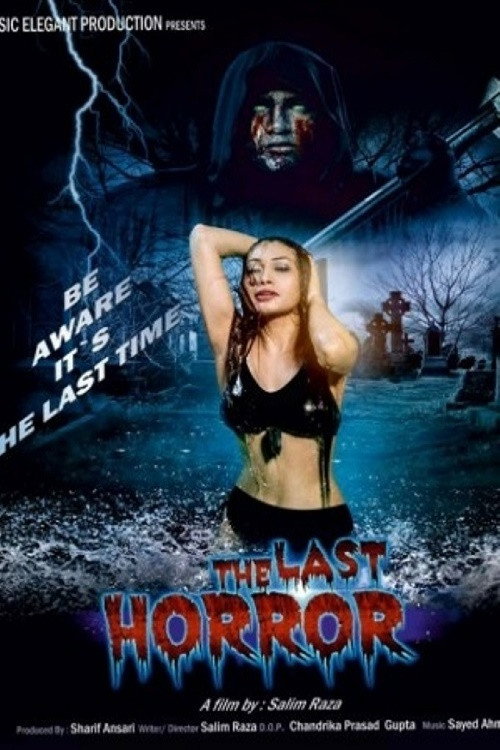 Movie poster for The Last Horror (2015)