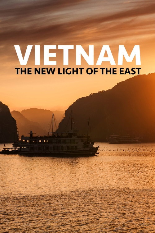 Movie poster for Vietnam the New Light of the East (2022)