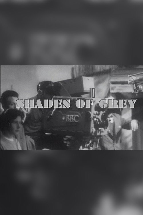 Movie poster for Shades of Grey (2009)