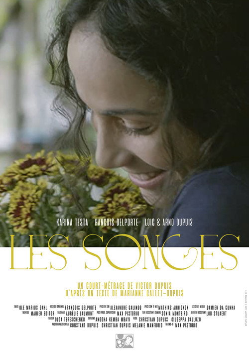 Movie poster for The Dreams (2017)