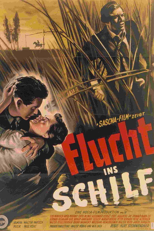 Movie poster for Brutality (1953)