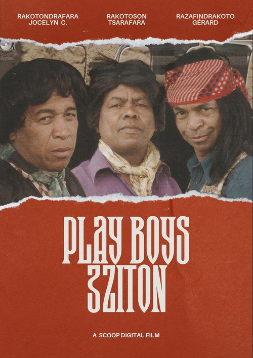 Movie poster for Play Boys 3 (2010)
