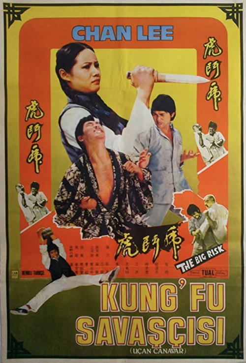 Movie poster for Kung Fu Conspiracy (1974)