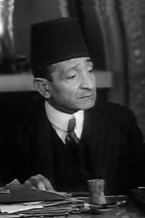 Photo of Abdelaziz Hamdy, Acting