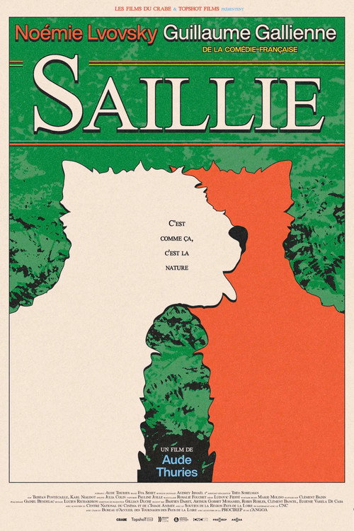 Movie poster for Saillie (2026)
