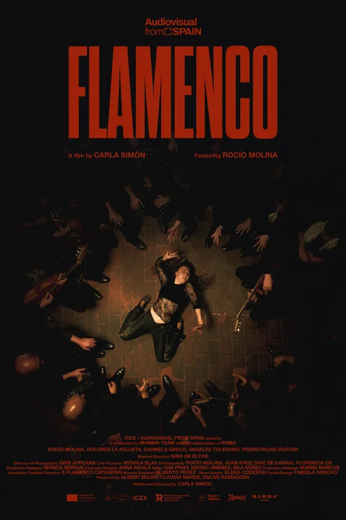 Movie poster for Flamenco (2026)