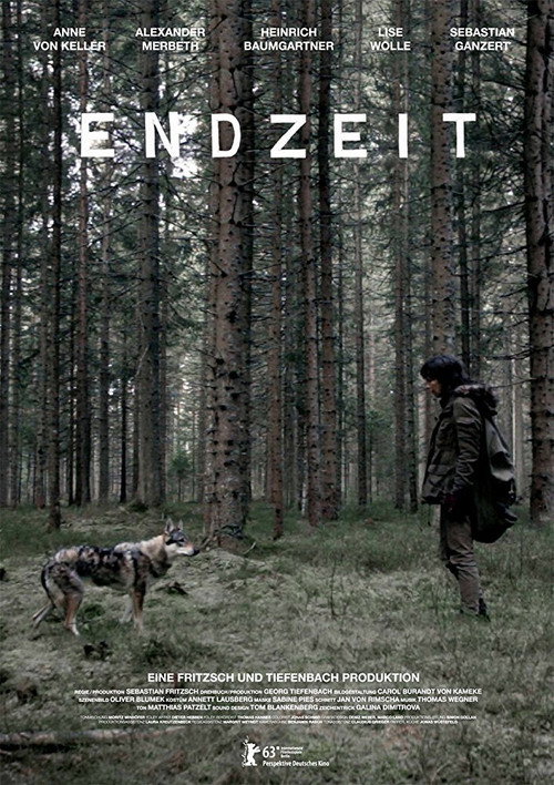 Movie poster for Endzeit (2013)