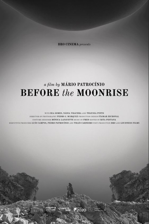 Movie poster for Before the Moonrise (2024)