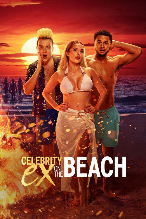 Celebrity Ex on the Beach poster