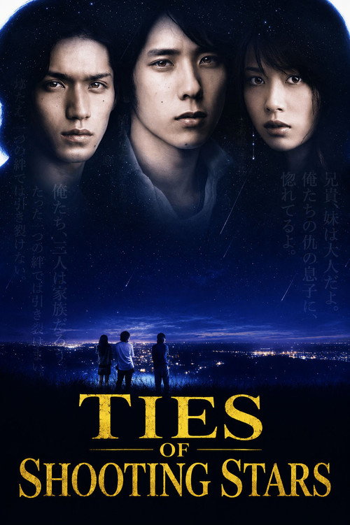 Series poster for Ties of Shooting Stars (2008)