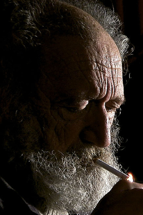 Movie poster for Les Souvenirs (2009)