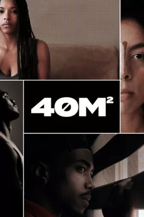 Series poster for 40m² (2020)