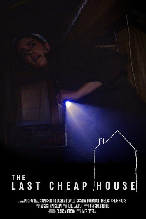 Movie poster for The Last Cheap House