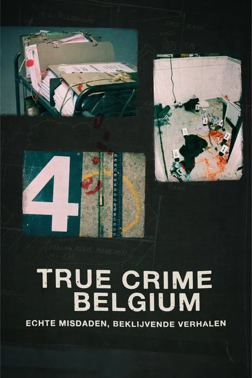 Series poster for True Crime Belgium (2022)