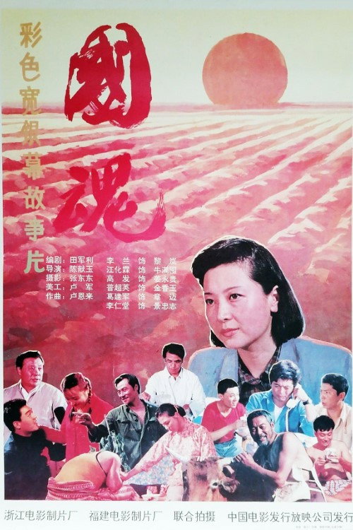 Movie poster for 国魂 (1991)