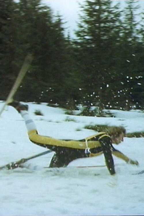 Movie poster for Nordic Combination (1978)