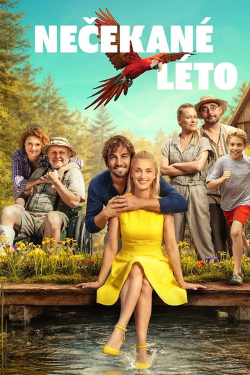 Movie poster for Nečekané léto (2026)