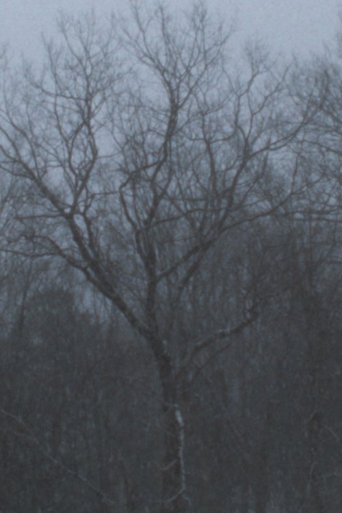 Movie poster for Snowfall (2022)