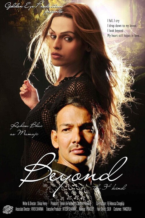 Movie poster for Beyond The Third Kind (2015)
