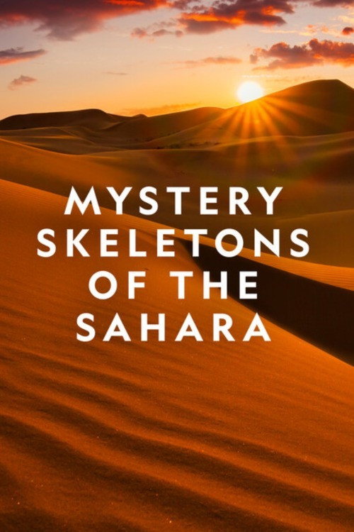 Movie poster for Mystery Skeletons of the Sahara (2018)