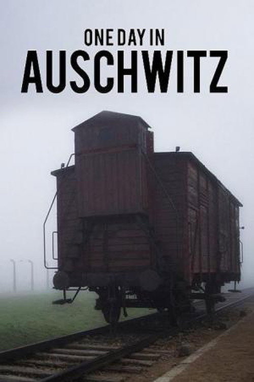 Movie poster for Auschwitz - One Day (2020)