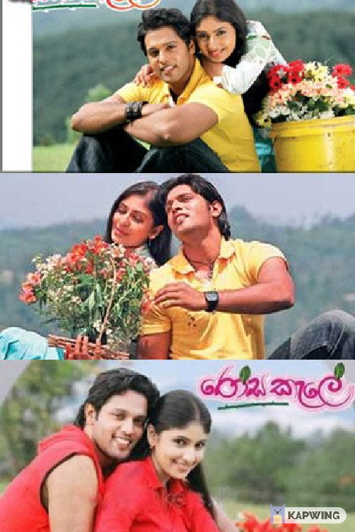 Movie poster for Rosa Kale (2008)