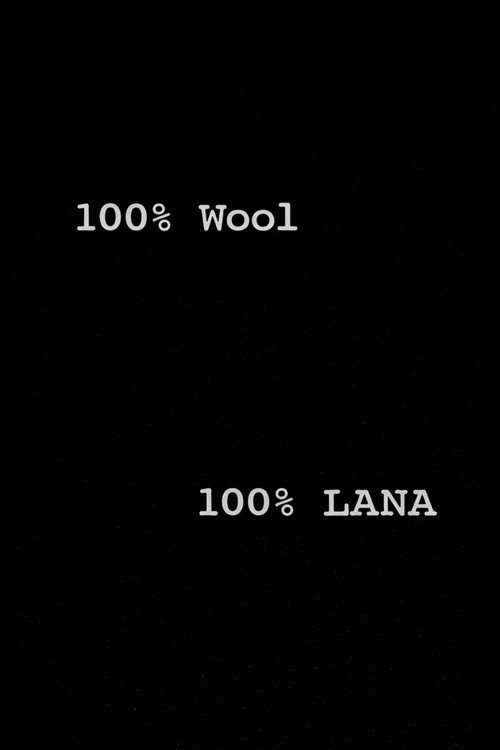 Movie poster for 100% lana