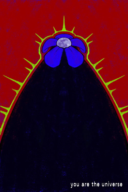 Movie poster for You Are The Universe