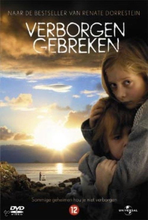 Movie poster for Hidden Flaws (2004)