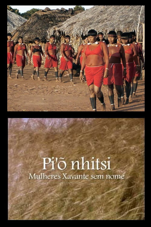 Movie poster for Pi'õnhitsi - Mulheres Xavante sem Nome (2009)