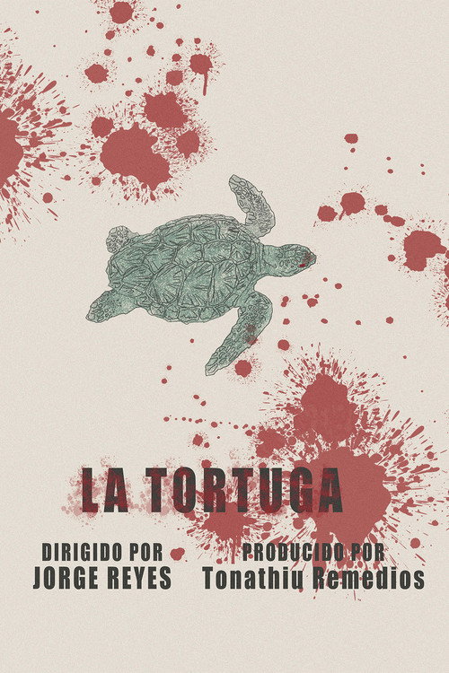 Movie poster for The Turtle (2025)