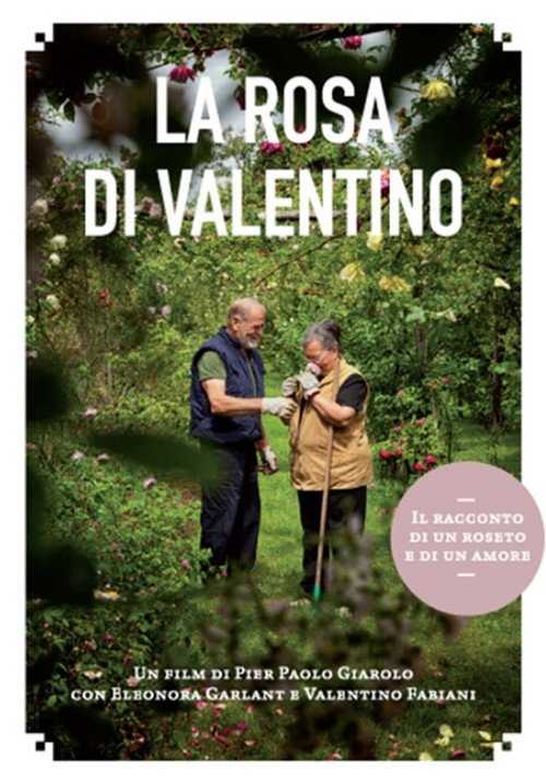 Movie poster for La rosa di Valentino