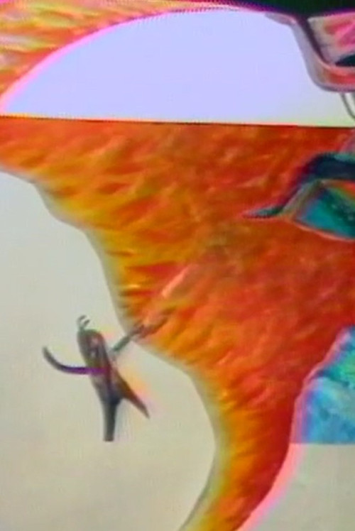 Movie poster for Paroles d'oiseaux à Toro Muerto (1988)