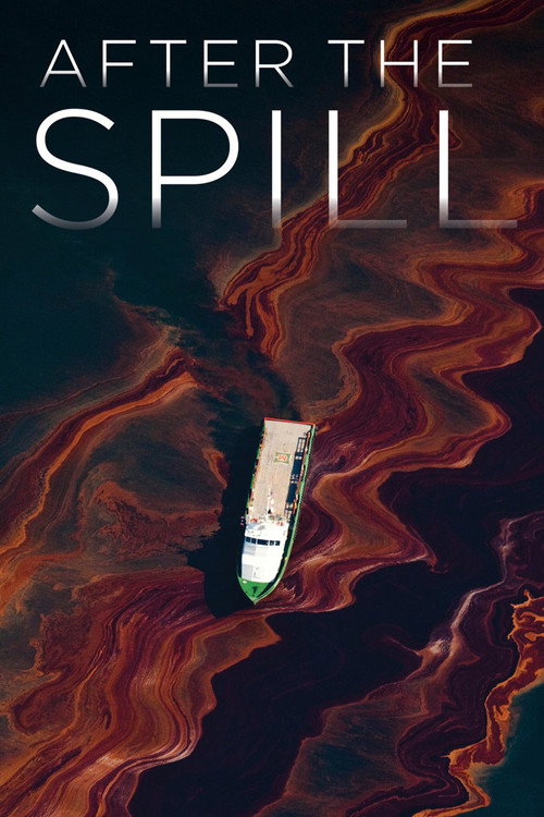 Movie poster for After the Spill (2015)