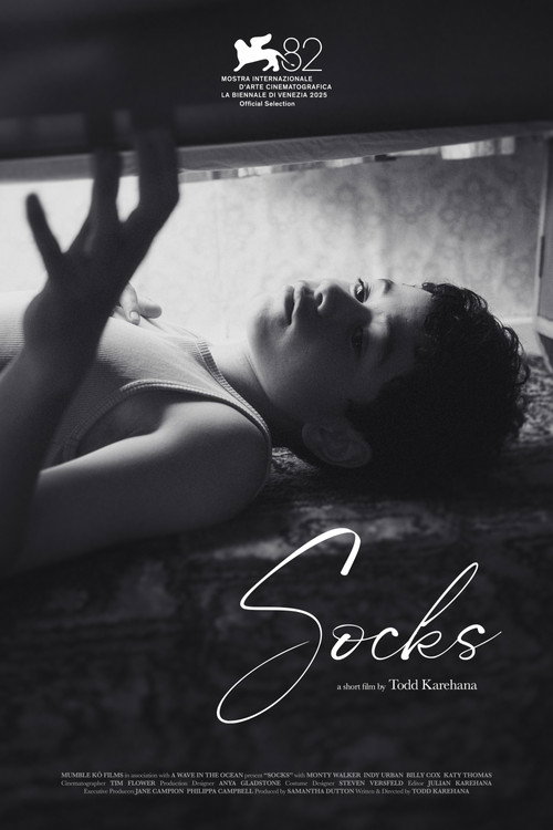 Movie poster for Socks (2025)