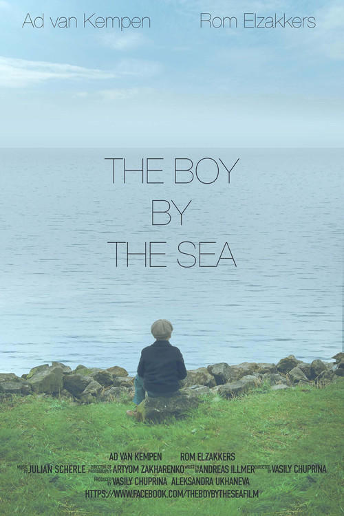 Movie poster for The Boy by the Sea (2016)