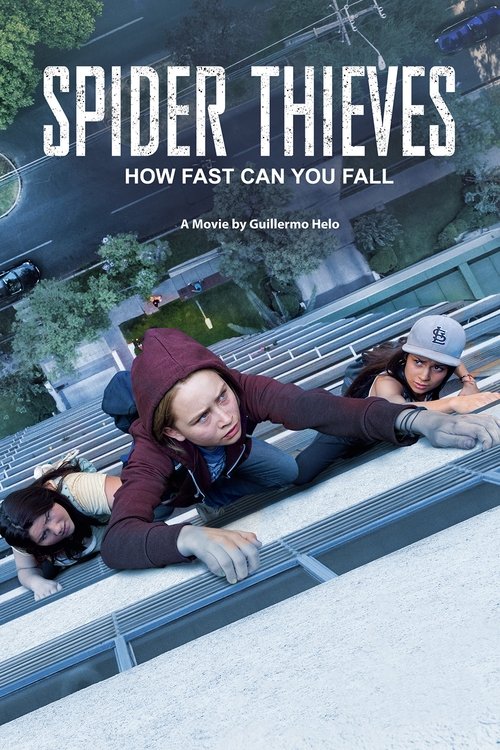 Movie poster for Spider Thieves (2017)