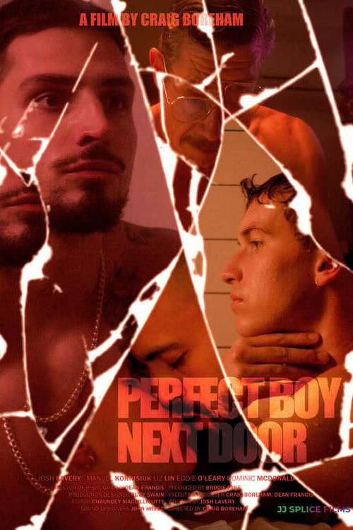 Movie poster for Perfect Boy Next Door (2024)