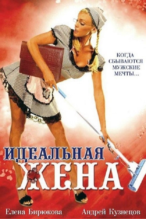 Movie poster for The Perfect Wife (2007)