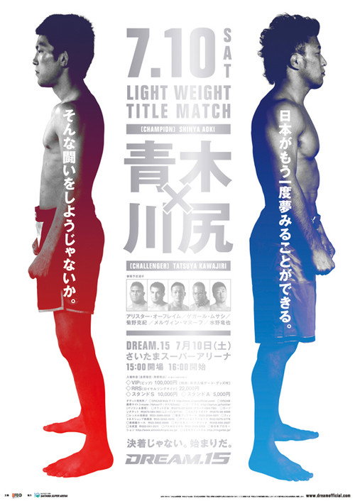Movie poster for DREAM 15 (2010)