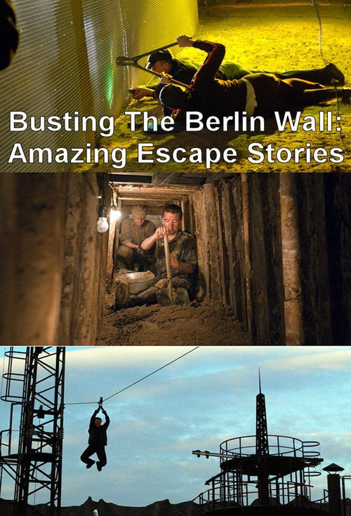 Series poster for Busting the Berlin Wall (2009)
