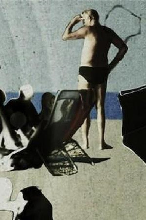 Movie poster for Amnesiac on the Beach (2013)