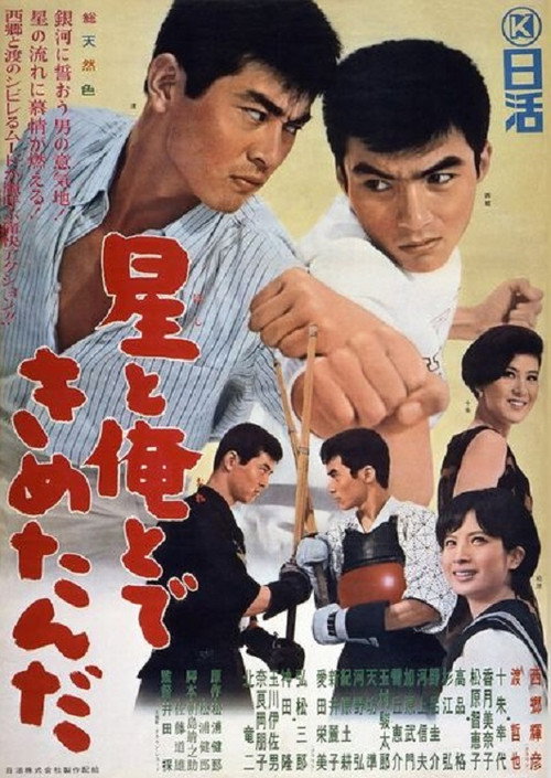 Movie poster for The Stars and I Decided... (1965)