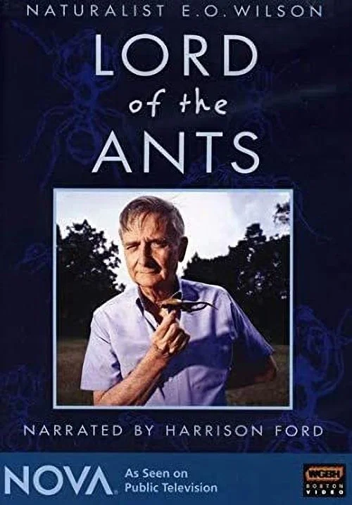 Movie poster for Lord of the Ants (2008)