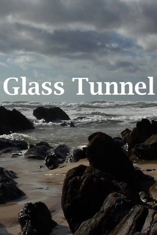 Movie poster for Glass Tunnel (2013)